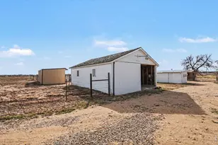 13168 N 95th St, Longmont, CO 80504 - Photo 6