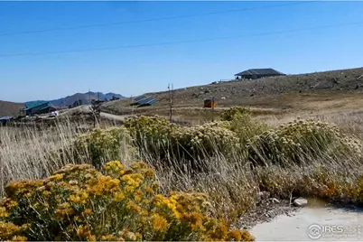 59 Bobcat Mountain Ct, Livermore, CO 80536 - Photo 6