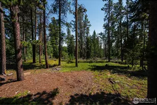 122 Elk Way, Drake, CO 80515 - Photo 30