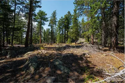 122 Elk Way, Drake, CO 80515 - Photo 32