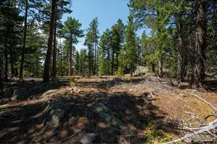 122 Elk Way, Drake, CO 80515 - Photo 32