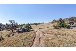 0 W County Rd 82E, Livermore, CO 80536 - Photo 8