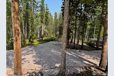 316 Panamint Way, Red Feather Lakes, CO 80545 - Photo 34