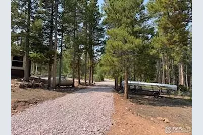 316 Panamint Way, Red Feather Lakes, CO 80545 - Photo 36