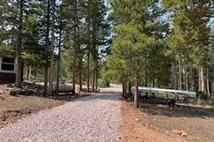 316 Panamint Way, Red Feather Lakes, CO 80545 - Photo 36