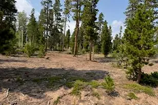 316 Panamint Way, Red Feather Lakes, CO 80545 - Photo 48