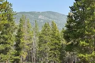 316 Panamint Way, Red Feather Lakes, CO 80545 - Photo 30