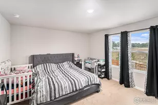 971 Ouzel Falls Rd, Severance, CO 80550 - Photo 8