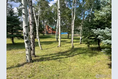 27667 Buckhorn Rd, Bellvue, CO 80512 - Photo 1