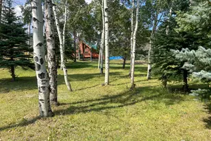 27667 Buckhorn Rd, Bellvue, CO 80512 - Photo 1