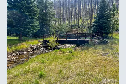 27667 Buckhorn Rd, Bellvue, CO 80512 - Photo 24