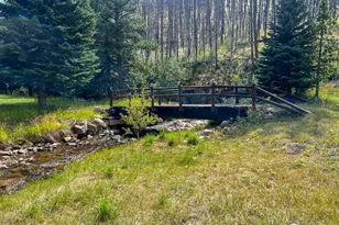 27667 Buckhorn Rd, Bellvue, CO 80512 - Photo 24