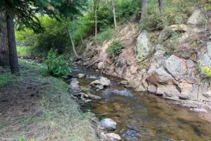 27667 Buckhorn Rd, Bellvue, CO 80512 - Photo 30