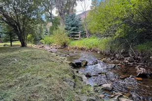 27667 Buckhorn Rd, Bellvue, CO 80512 - Photo 32