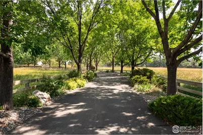 7007 Rozena Dr, Longmont, CO 80503 - Photo 4