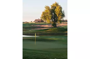 6227 Vernazza Way, Windsor, CO 80550 - Photo 32