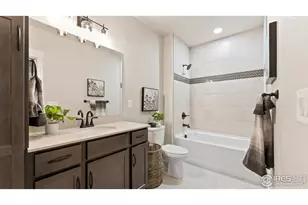 6227 Vernazza Way, Windsor, CO 80550 - Photo 20