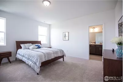 2039 Ballyneal Dr, Fort Collins, CO 80524 - Photo 22
