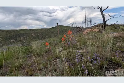 1324 Meadow Mountain Dr, Livermore, CO 80536 - Photo 2