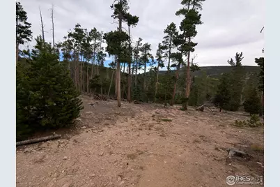 130 Natchez Cir, Red Feather Lakes, CO 80545 - Photo 14