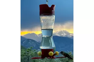 1810 Moss Rock Dr, Estes Park, CO 80517 - Photo 28