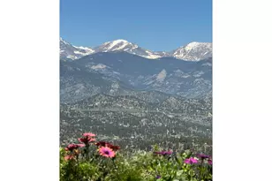 1810 Moss Rock Dr, Estes Park, CO 80517 - Photo 2