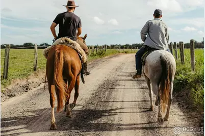 6686 Jay Rd, Boulder, CO 80301 - Photo 38