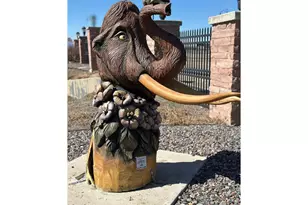 7219 Dolores Ave, Frederick, CO 80530 - Photo 24