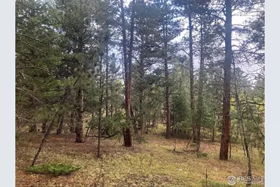 505 Lakeshore Dr, Boulder, CO 80302 - Photo 4