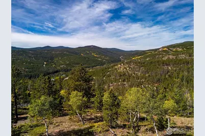 1601 Osage Trl, Red Feather Lakes, CO 80545 - Photo 2