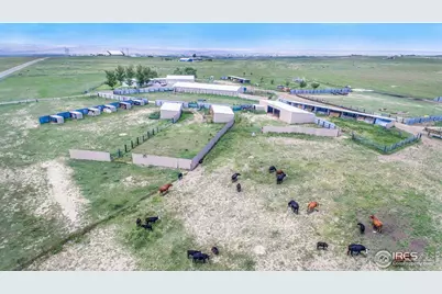 7557 County Road 100, Wellington, CO 80549 - Photo 1