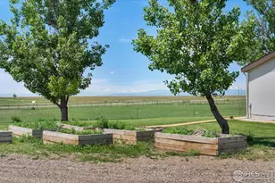 7557 County Rd 100, Wellington, CO 80549 - Photo 8