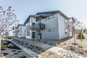 1825 Bounty Dr, Windsor, CO 80550 - Photo 1