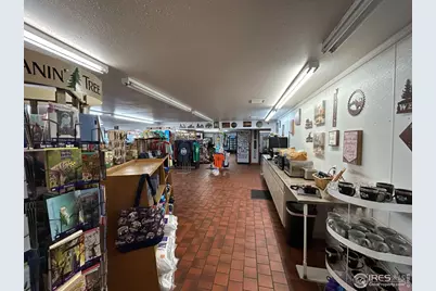 165 County Road 67A, Red Feather Lakes, CO 80545 - Photo 10