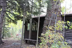 223 Riverside Dr, Lyons, CO 80540 - Photo 28