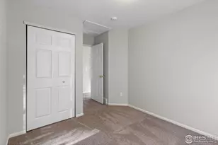 734 Blue Azurite Ave, Loveland, CO 80537 - Photo 22