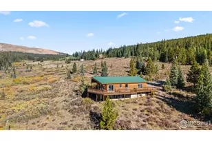 162 S Silk Sisters Pl, Fairplay, CO 80440 - Photo 46