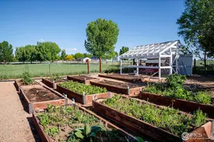 20360 Co Rd 3, Berthoud, CO 80513 - Photo 30