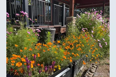 850 North Ln, Estes Park, CO 80517 - Photo 6