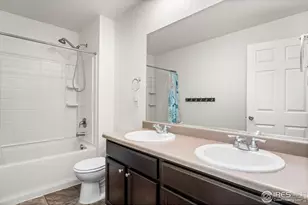 503 Buckrake St, Severance, CO 80550 - Photo 30