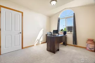 6635 Cranesbill St, Wellington, CO 80549 - Photo 18