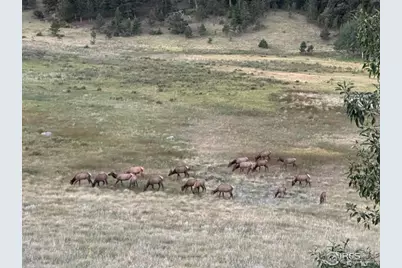 3495 Saint Francis Way, Estes Park, CO 80517 - Photo 50