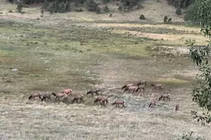 3495 St Francis Way, Estes Park, CO 80517 - Photo 50