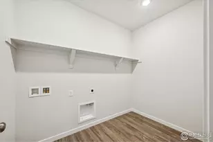 858 Mesic Ln, Windsor, CO 80550 - Photo 8