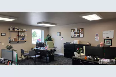 687 Gyrfalcon Ct #C, Windsor, CO 80550 - Photo 4