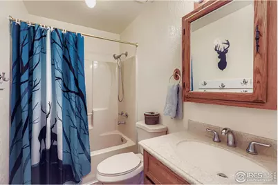 121 Chestnut St, Windsor, CO 80550 - Photo 20