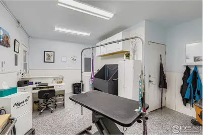 121 Chestnut St, Windsor, CO 80550 - Photo 28