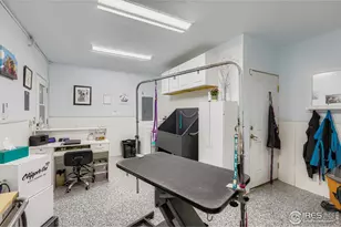 121 Chestnut St, Windsor, CO 80550 - Photo 28