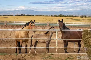 13400 Harvest Rd, Commerce City, CO 80022 - Photo 20