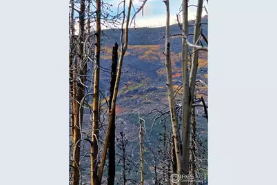 75 Sheep Horn Ct, Bellvue, CO 80512 - Photo 1